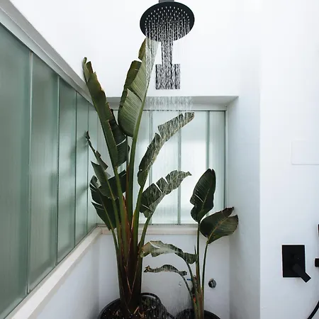 R26